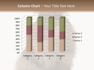 Bunny Longhaired Bunny Rabbit PowerPoint Template