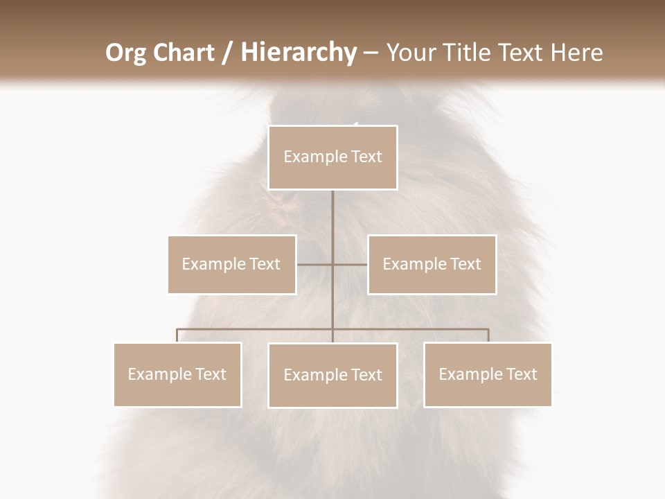 Bunny Longhaired Bunny Rabbit PowerPoint Template