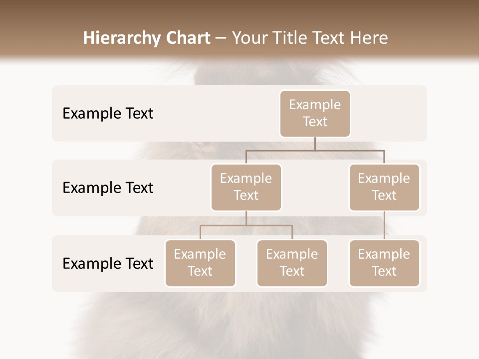 Bunny Longhaired Bunny Rabbit PowerPoint Template