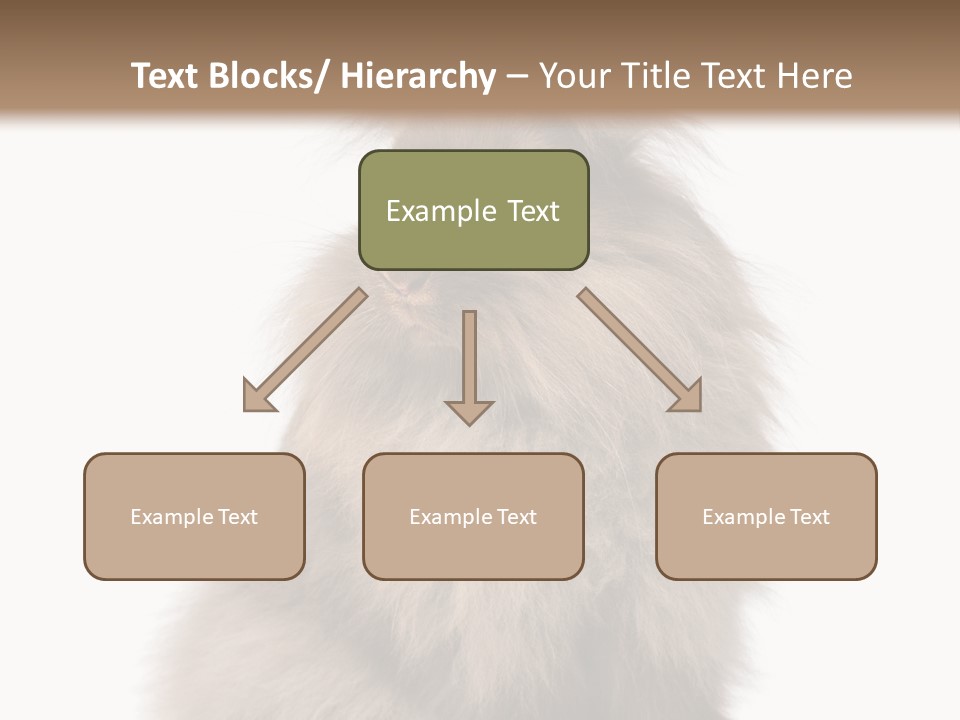 Bunny Longhaired Bunny Rabbit PowerPoint Template