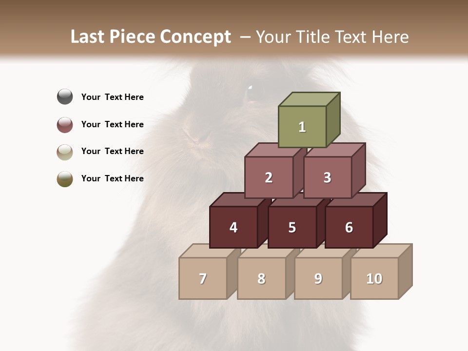 Bunny Longhaired Bunny Rabbit PowerPoint Template