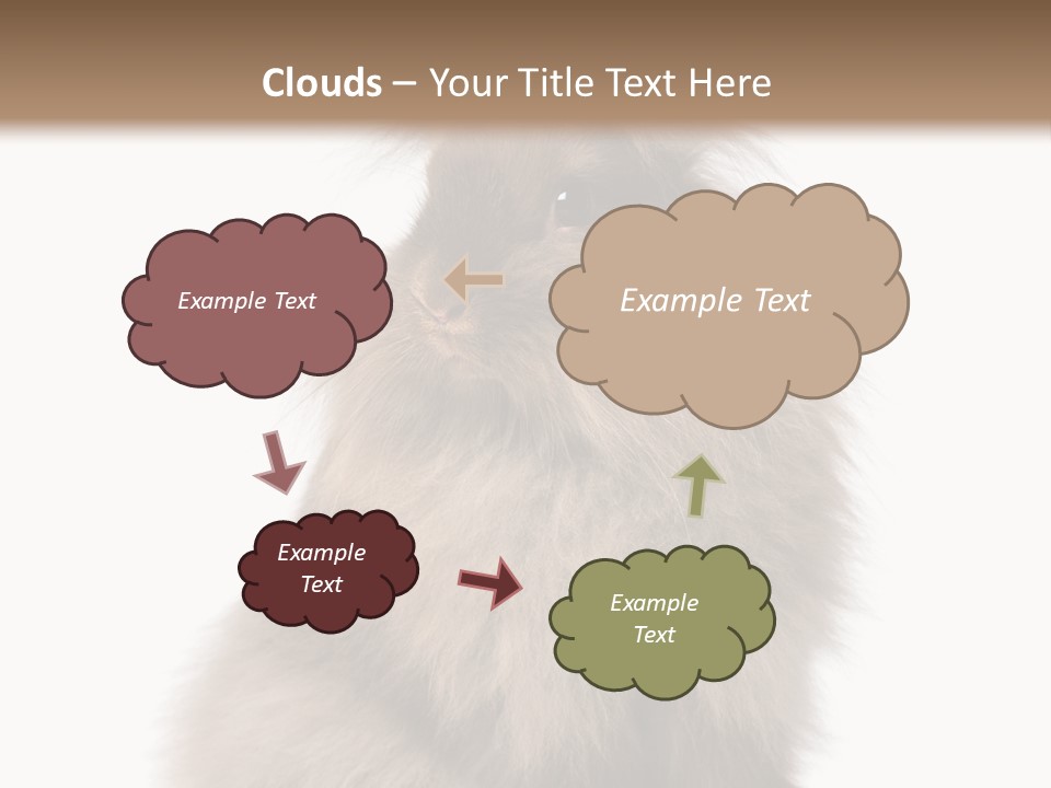 Bunny Longhaired Bunny Rabbit PowerPoint Template