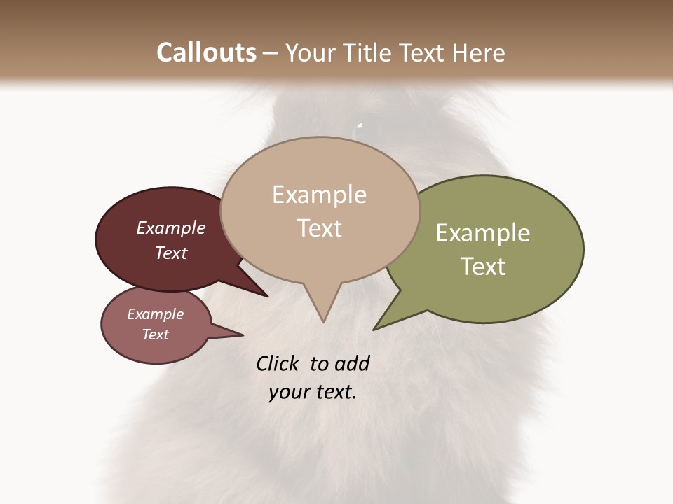 Bunny Longhaired Bunny Rabbit PowerPoint Template