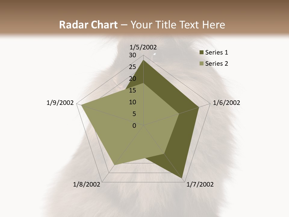 Bunny Longhaired Bunny Rabbit PowerPoint Template