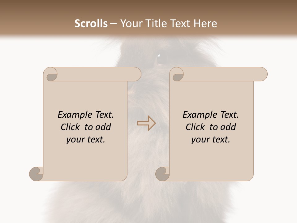 Bunny Longhaired Bunny Rabbit PowerPoint Template