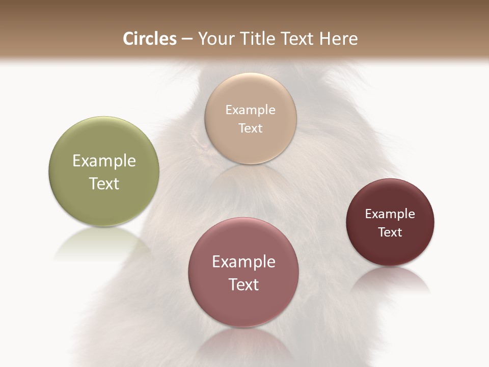 Bunny Longhaired Bunny Rabbit PowerPoint Template