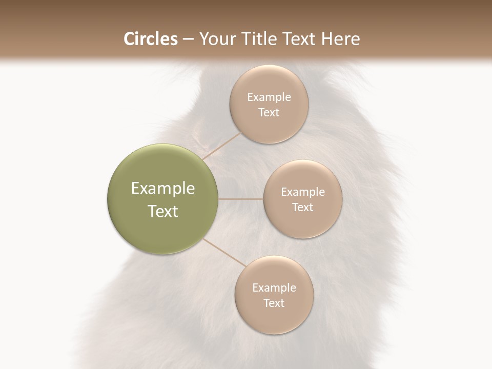 Bunny Longhaired Bunny Rabbit PowerPoint Template