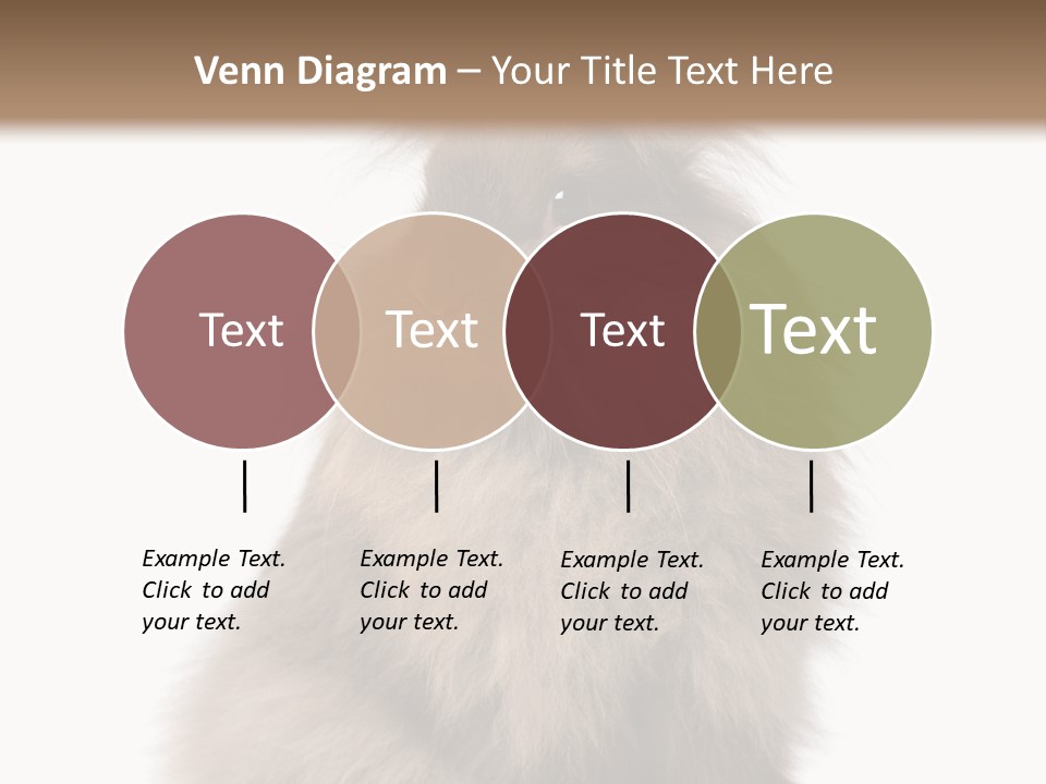 Bunny Longhaired Bunny Rabbit PowerPoint Template