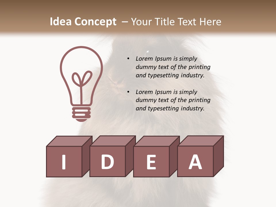 Bunny Longhaired Bunny Rabbit PowerPoint Template