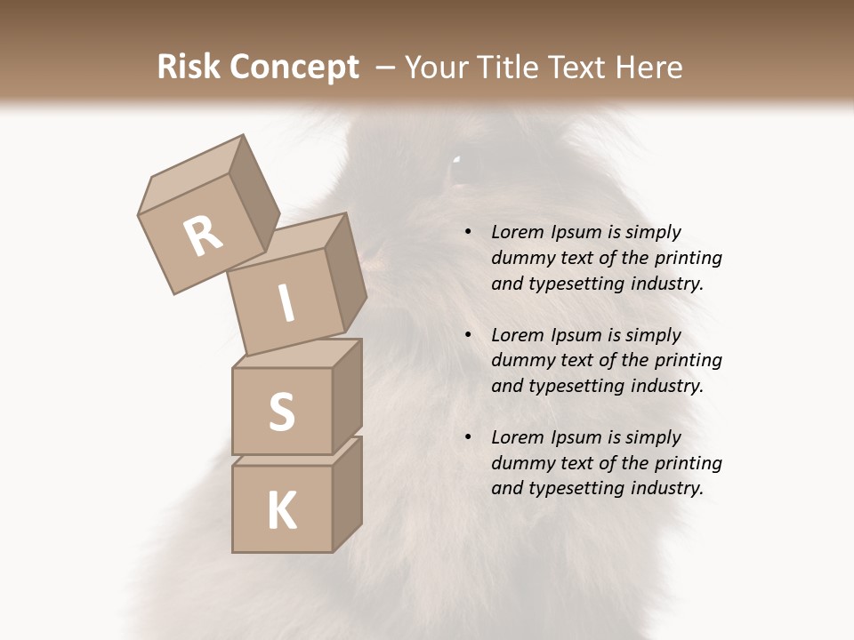 Bunny Longhaired Bunny Rabbit PowerPoint Template