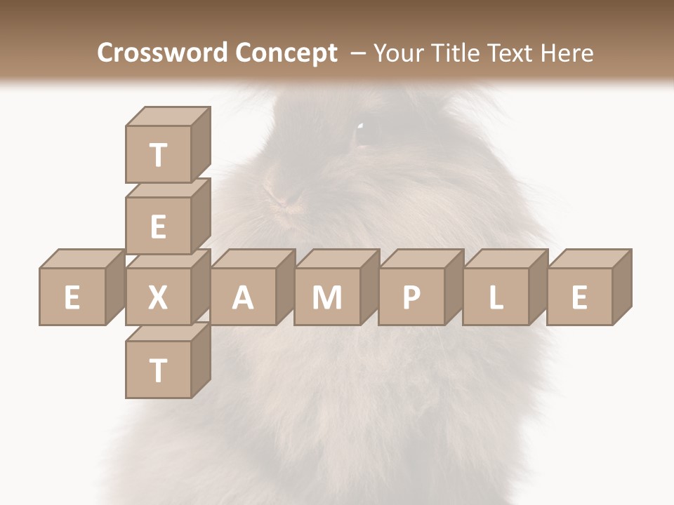 Bunny Longhaired Bunny Rabbit PowerPoint Template