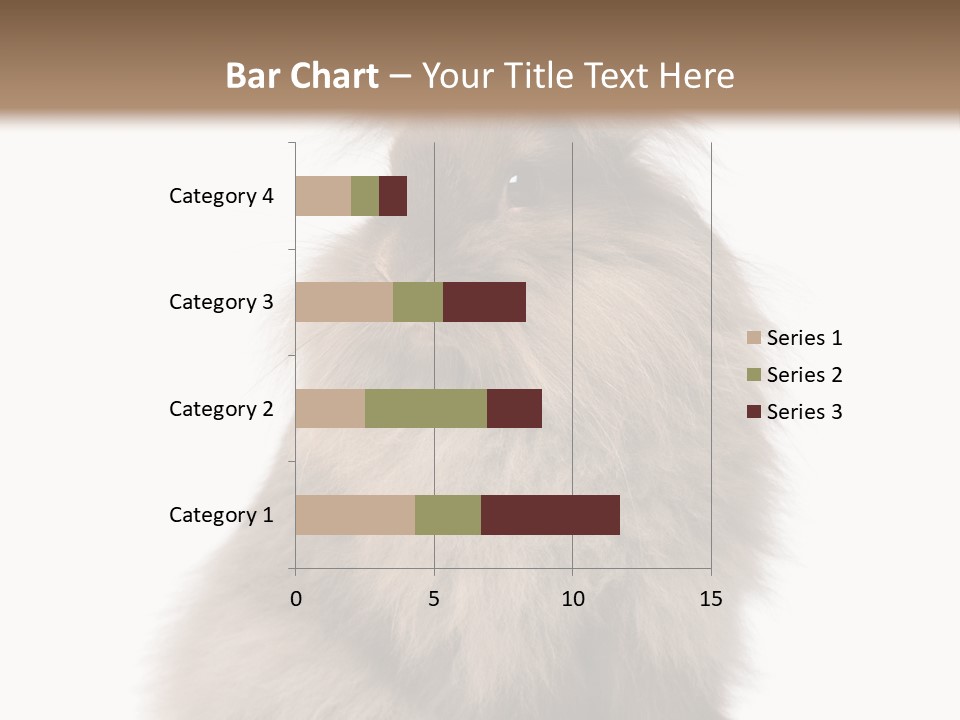 Bunny Longhaired Bunny Rabbit PowerPoint Template