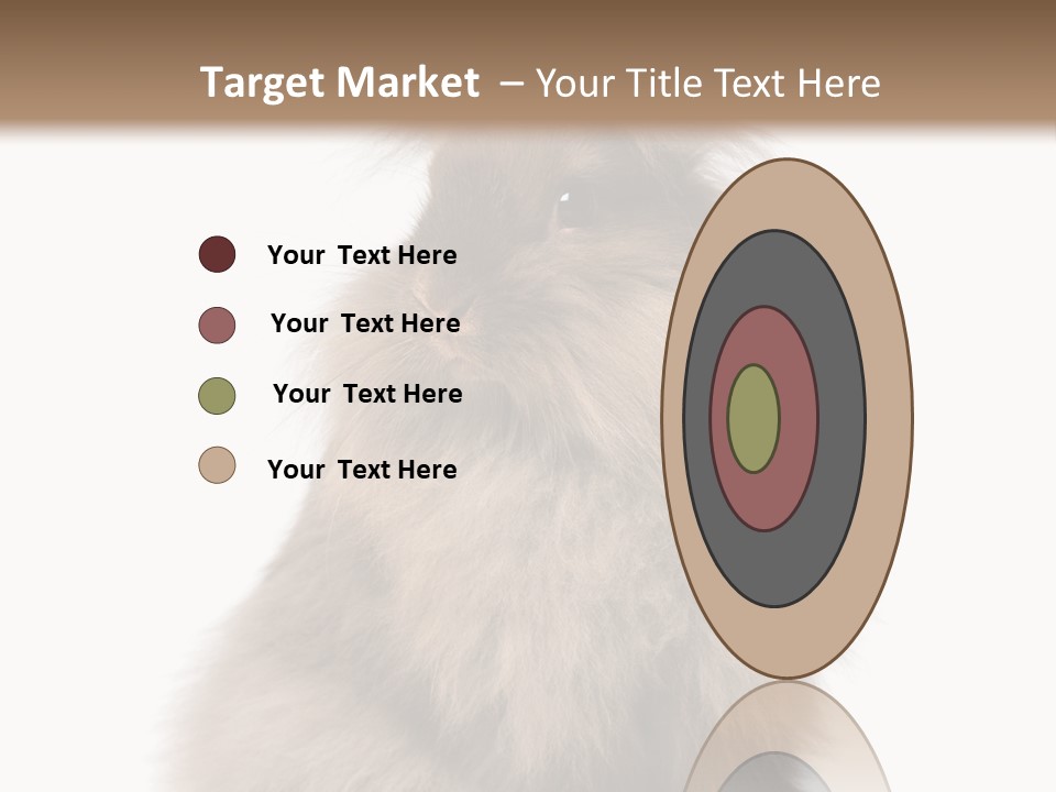 Bunny Longhaired Bunny Rabbit PowerPoint Template