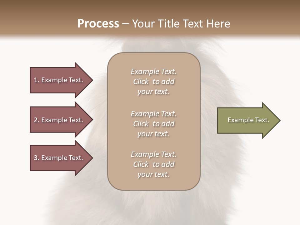 Bunny Longhaired Bunny Rabbit PowerPoint Template