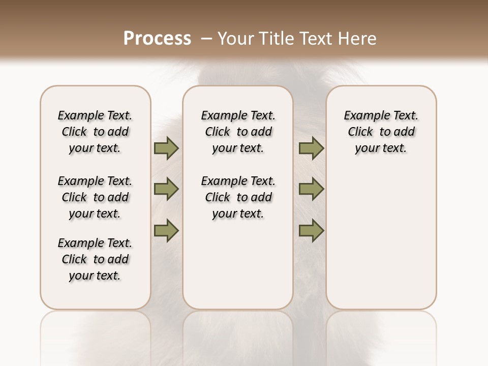 Bunny Longhaired Bunny Rabbit PowerPoint Template