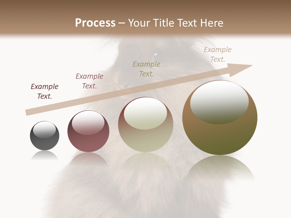 Bunny Longhaired Bunny Rabbit PowerPoint Template