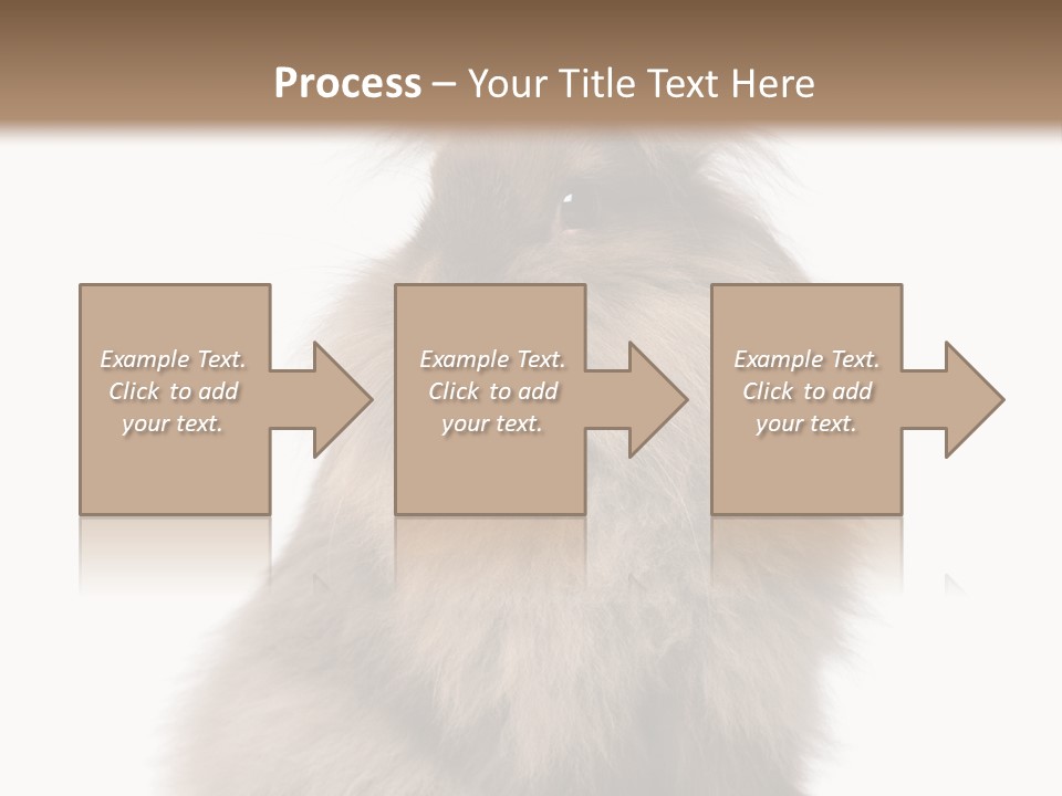 Bunny Longhaired Bunny Rabbit PowerPoint Template