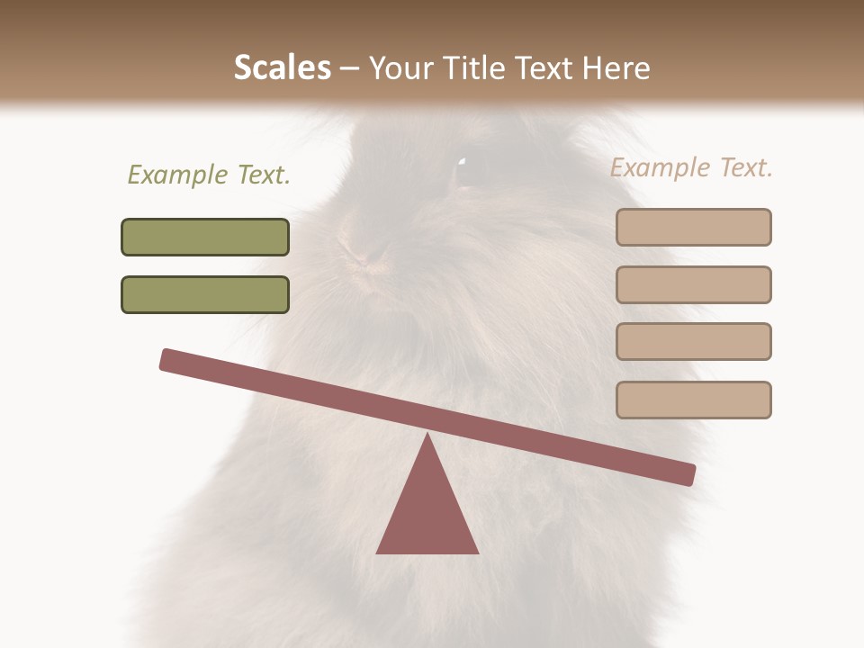 Bunny Longhaired Bunny Rabbit PowerPoint Template