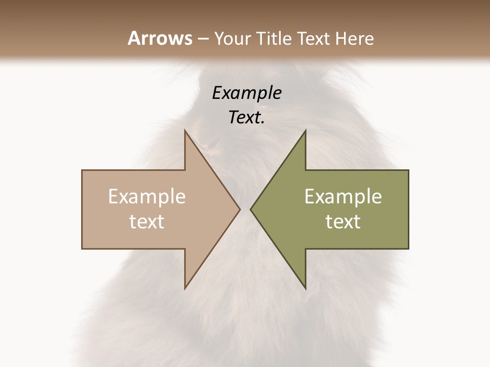 Bunny Longhaired Bunny Rabbit PowerPoint Template