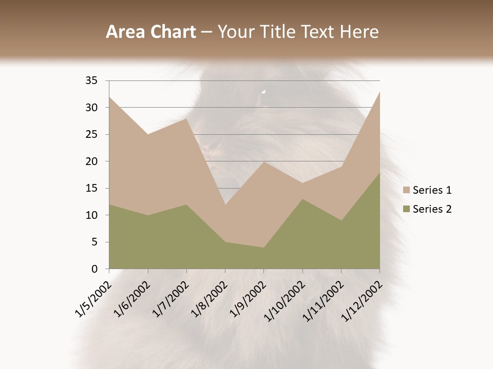 Bunny Longhaired Bunny Rabbit PowerPoint Template