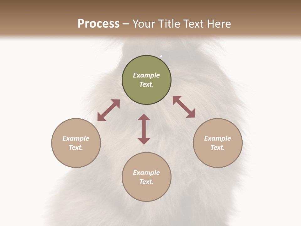 Bunny Longhaired Bunny Rabbit PowerPoint Template