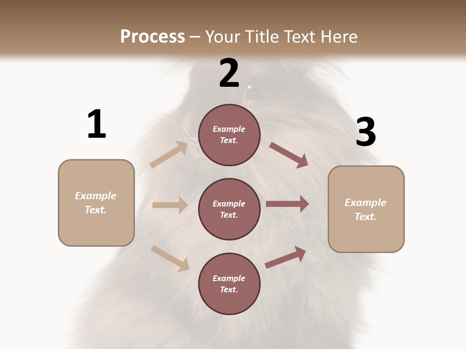 Bunny Longhaired Bunny Rabbit PowerPoint Template