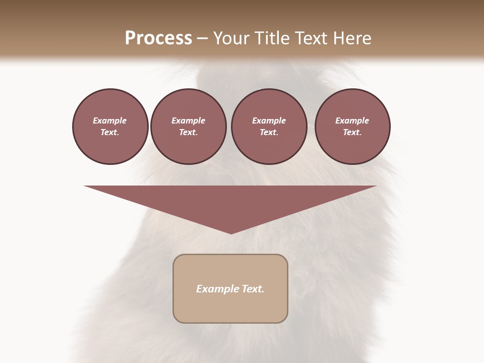 Bunny Longhaired Bunny Rabbit PowerPoint Template