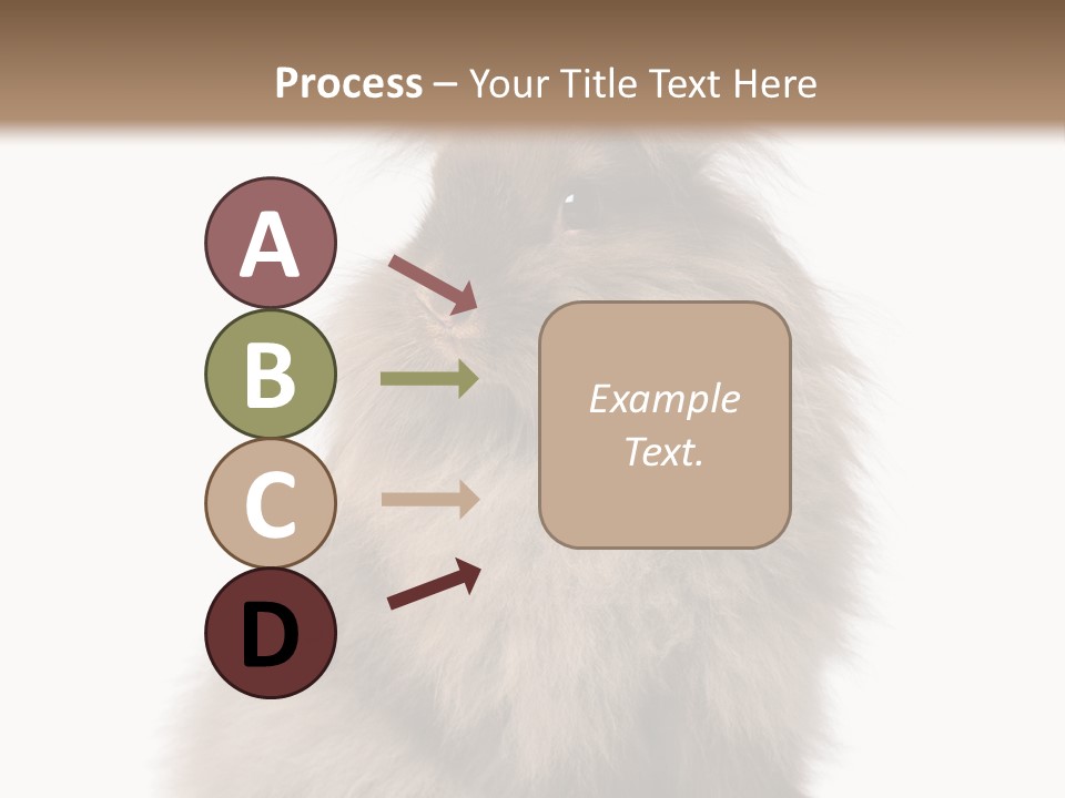 Bunny Longhaired Bunny Rabbit PowerPoint Template