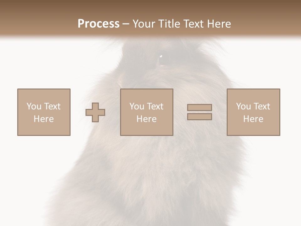 Bunny Longhaired Bunny Rabbit PowerPoint Template