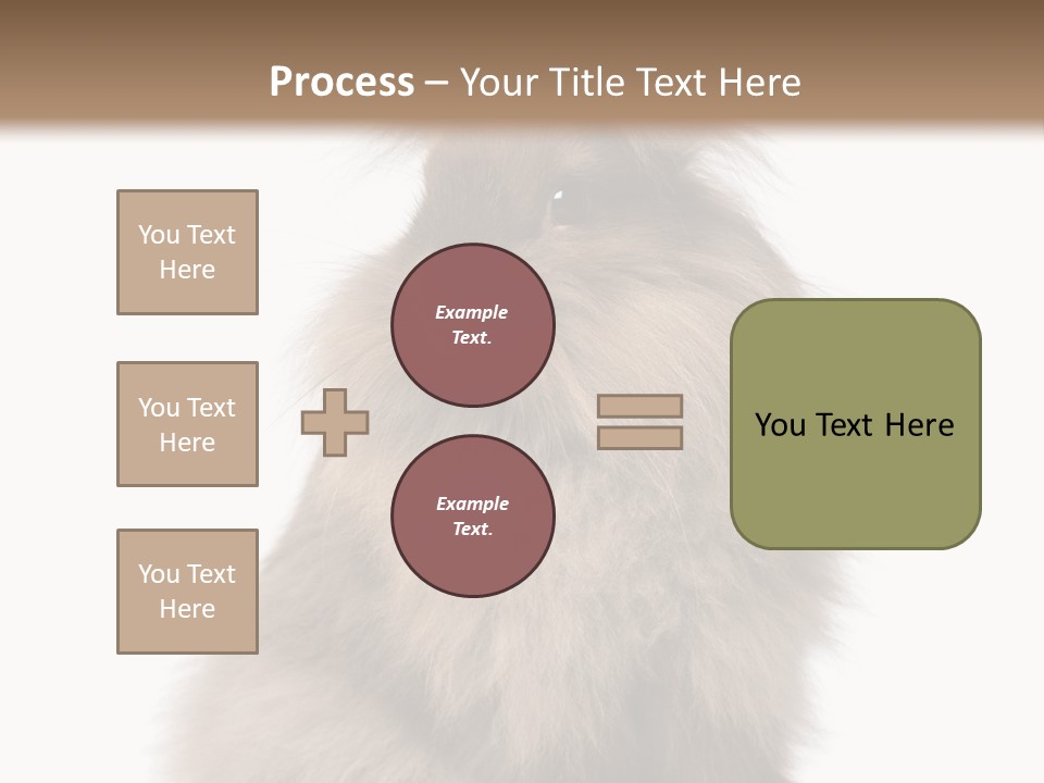 Bunny Longhaired Bunny Rabbit PowerPoint Template
