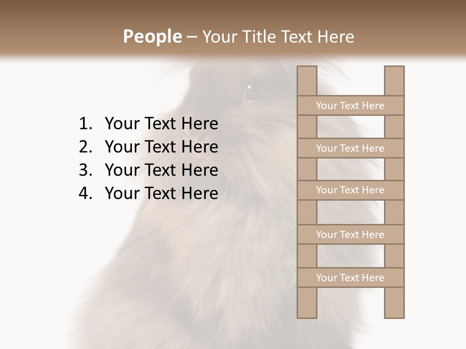 Bunny Longhaired Bunny Rabbit PowerPoint Template