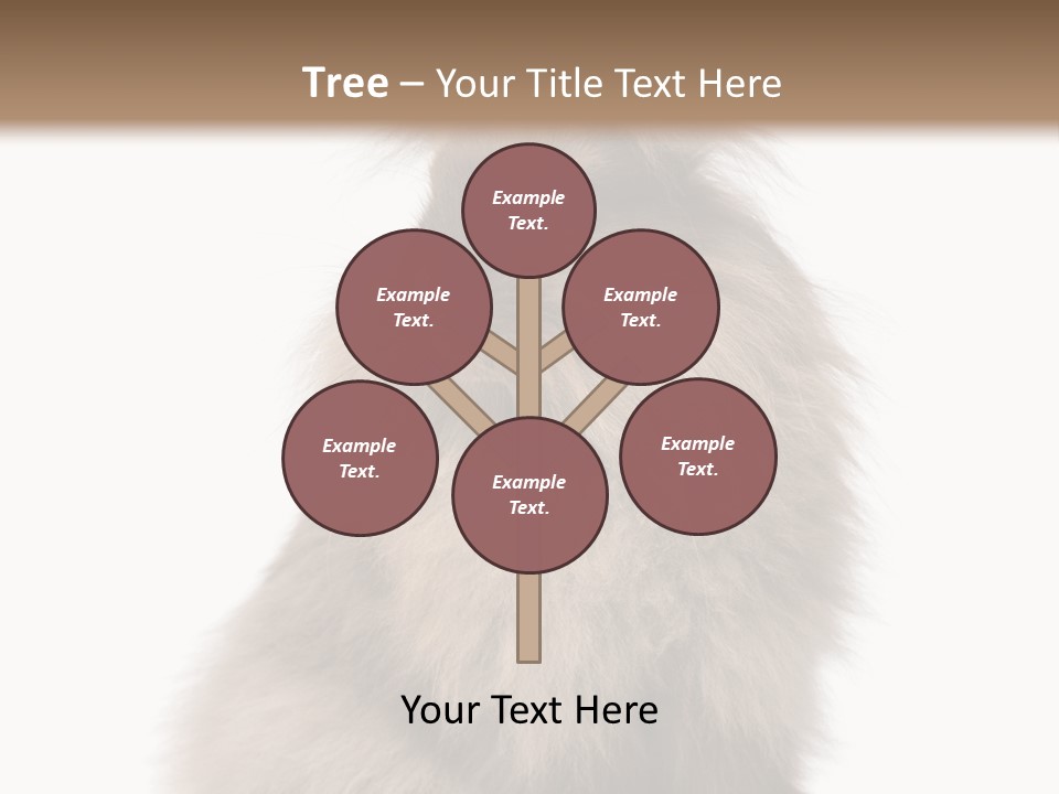 Bunny Longhaired Bunny Rabbit PowerPoint Template