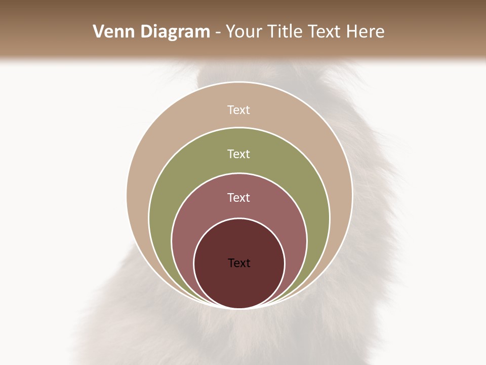 Bunny Longhaired Bunny Rabbit PowerPoint Template