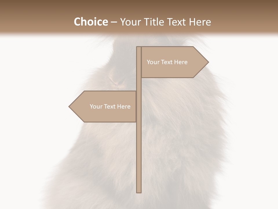 Bunny Longhaired Bunny Rabbit PowerPoint Template