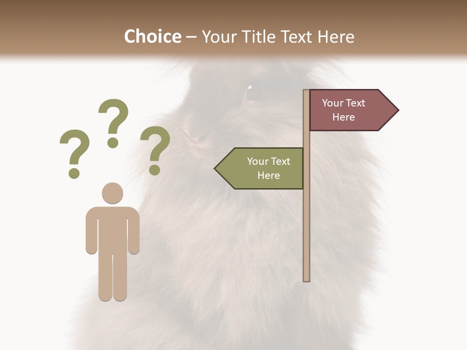 Bunny Longhaired Bunny Rabbit PowerPoint Template