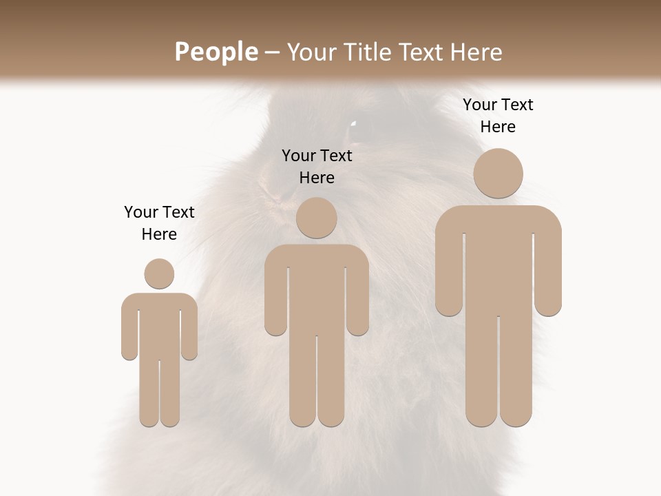 Bunny Longhaired Bunny Rabbit PowerPoint Template