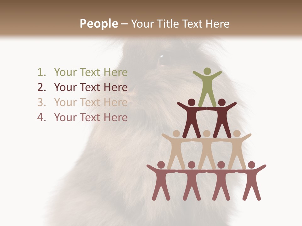 Bunny Longhaired Bunny Rabbit PowerPoint Template