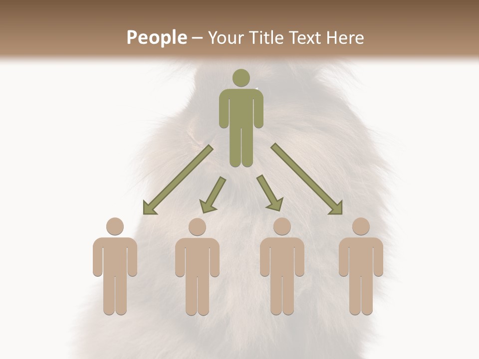 Bunny Longhaired Bunny Rabbit PowerPoint Template