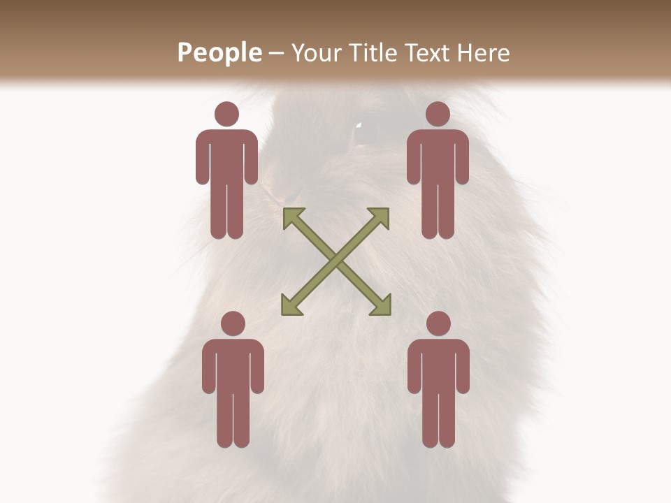 Bunny Longhaired Bunny Rabbit PowerPoint Template