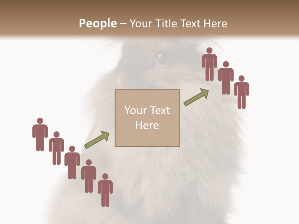 Bunny Longhaired Bunny Rabbit PowerPoint Template