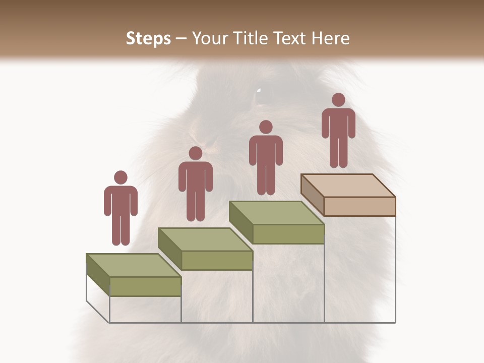 Bunny Longhaired Bunny Rabbit PowerPoint Template