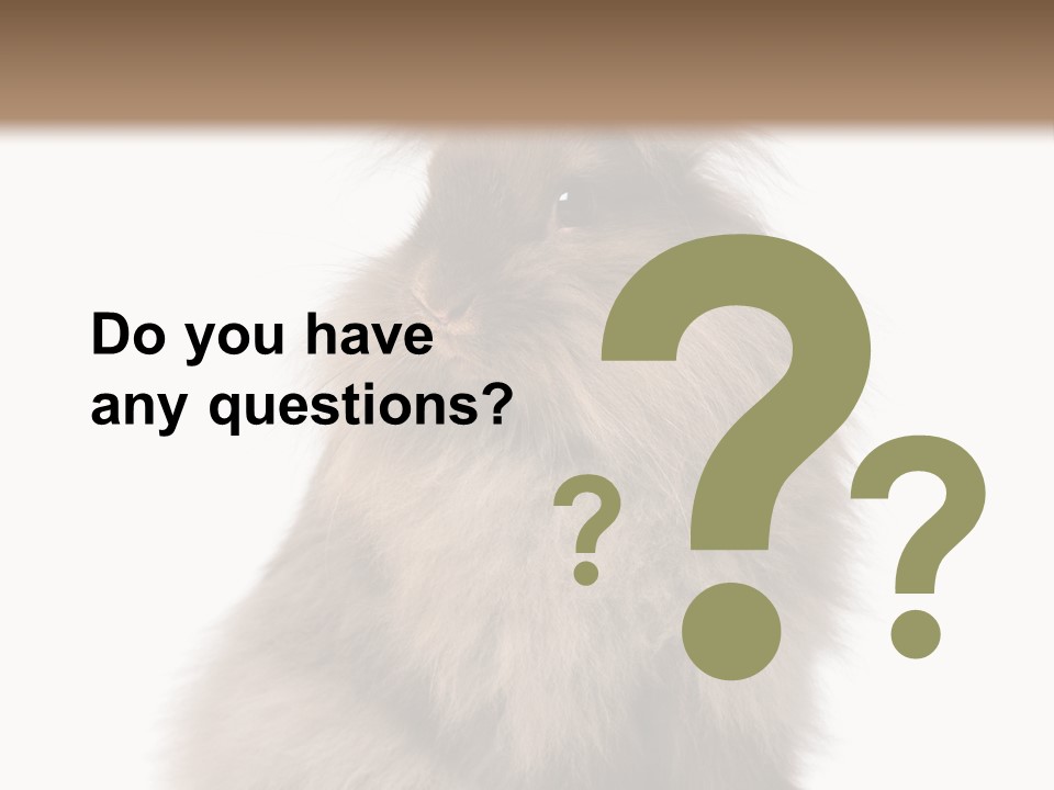 Bunny Longhaired Bunny Rabbit PowerPoint Template