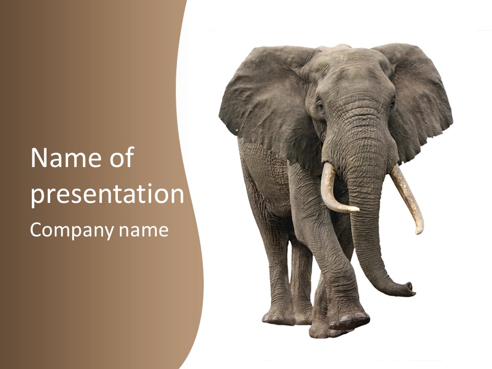 Front View One Africa PowerPoint Template