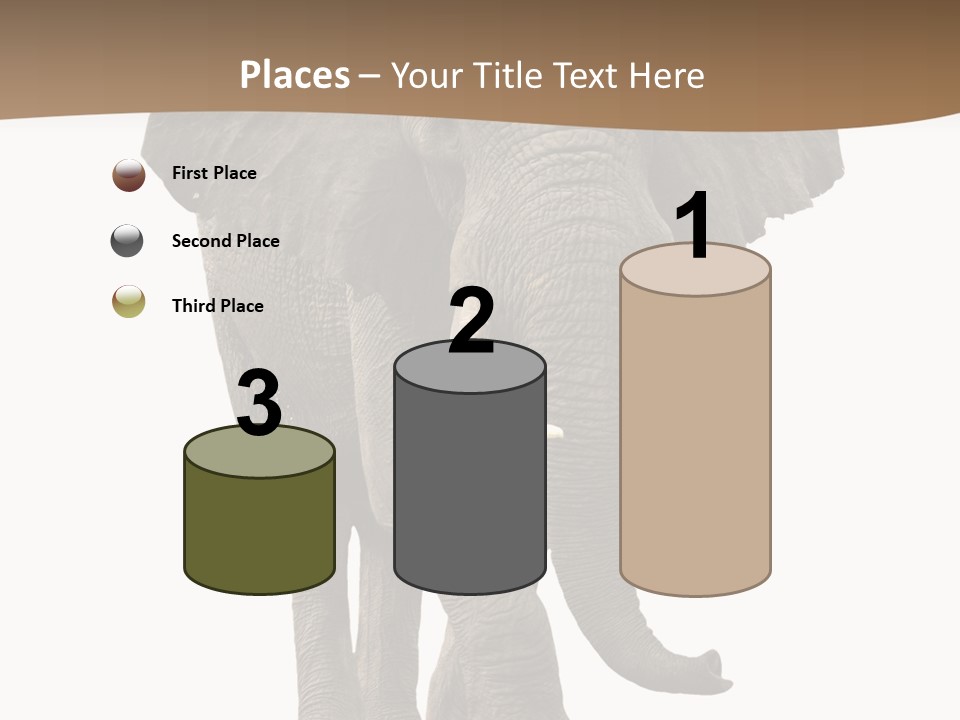 Front View One Africa PowerPoint Template