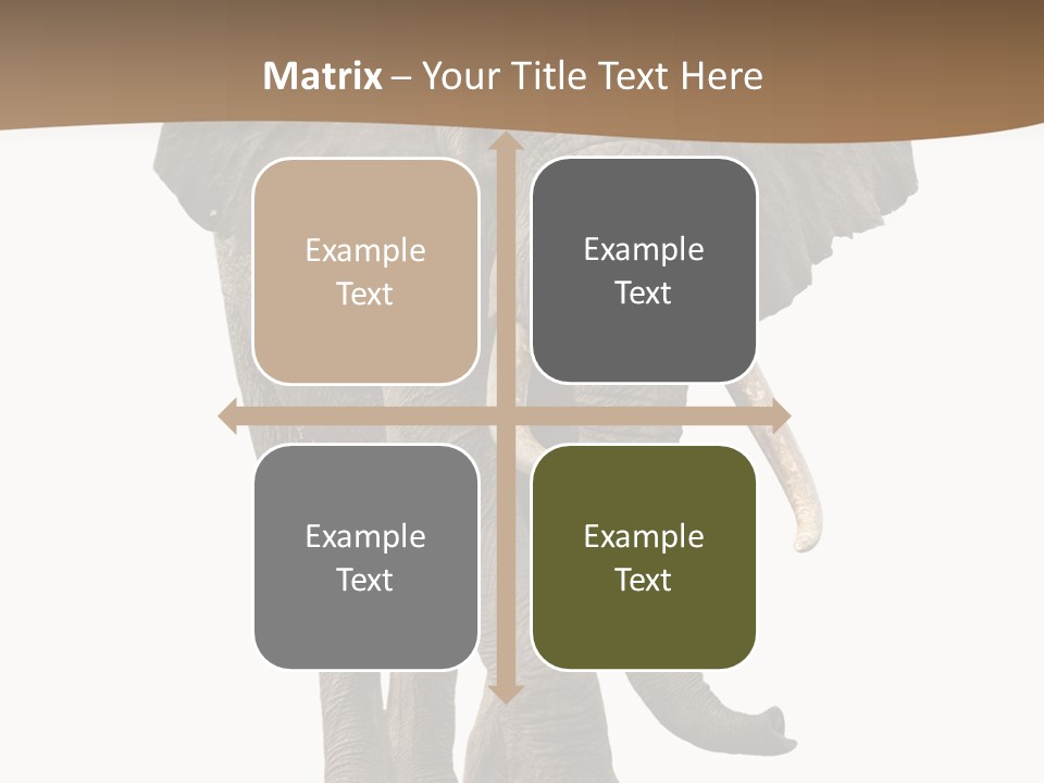 Front View One Africa PowerPoint Template