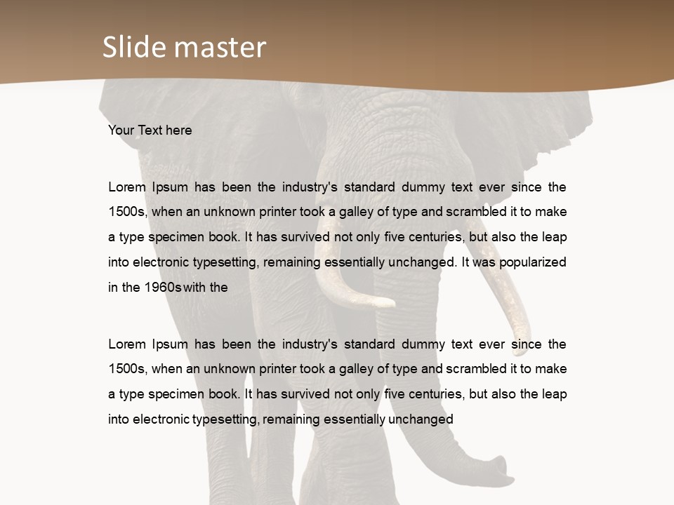 Front View One Africa PowerPoint Template