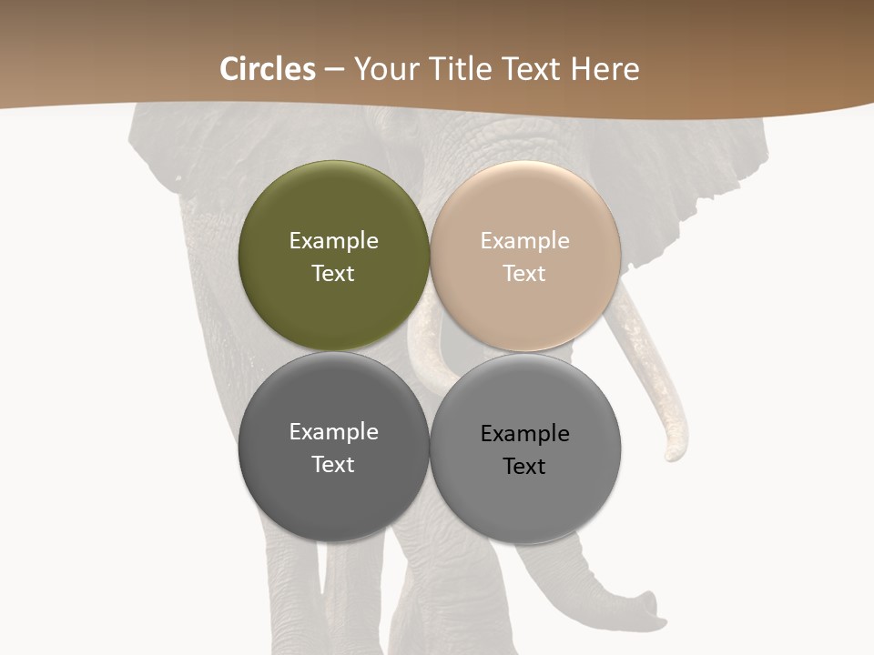 Front View One Africa PowerPoint Template