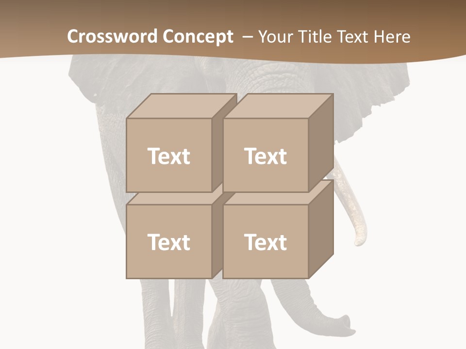 Front View One Africa PowerPoint Template