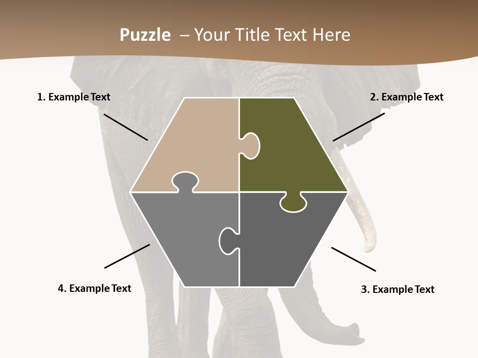 Front View One Africa PowerPoint Template