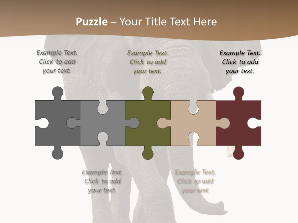 Front View One Africa PowerPoint Template